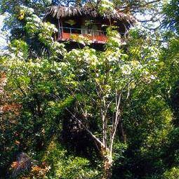 Green Magic Nature Resort, Wayanad 1